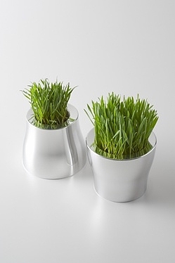 Japan，Sato Da，designer，