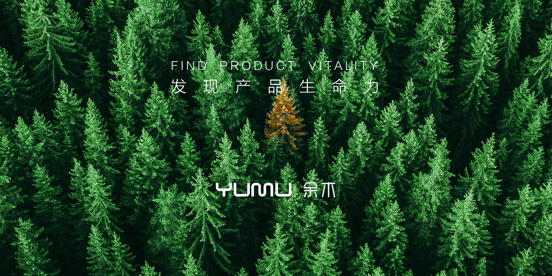 Tables and chairs，table，chair，Table，