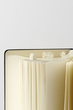 Sato Da，Japan，designer，