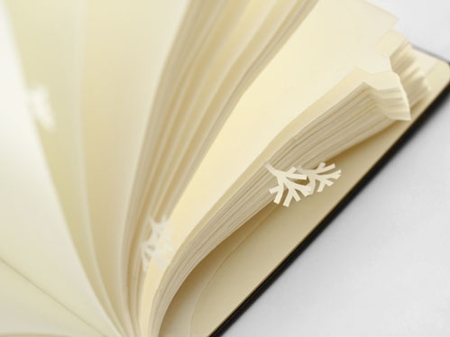 Sato Da，Japan，designer，