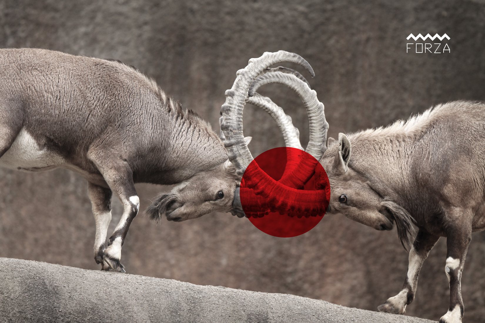 axe，environment protection，sawdust，handle，