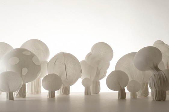 Sato Da，Japan，designer，