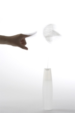 Sato Da，Japan，designer，