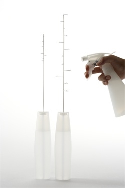 Sato Da，designer，Japan，