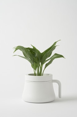 Sato Da，designer，Japan，