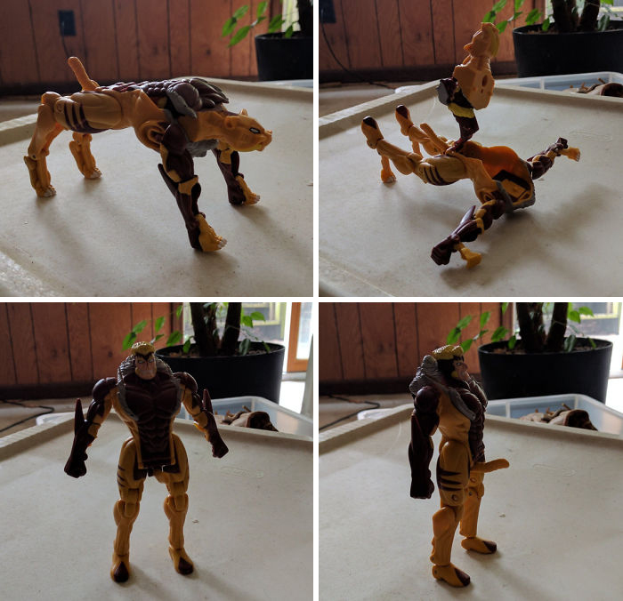 Anti human，Funny，Divine design，interest，