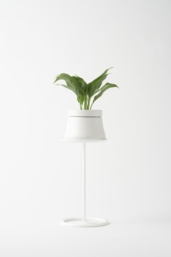 Sato Da，designer，Japan，