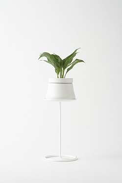 Sato Da，designer，Japan，