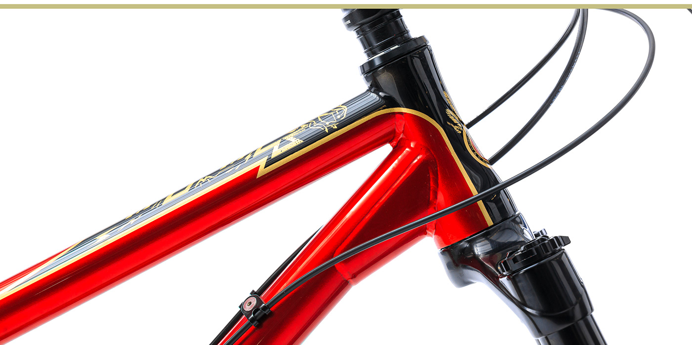 Bicycle，industrial design，product design，vehicle，