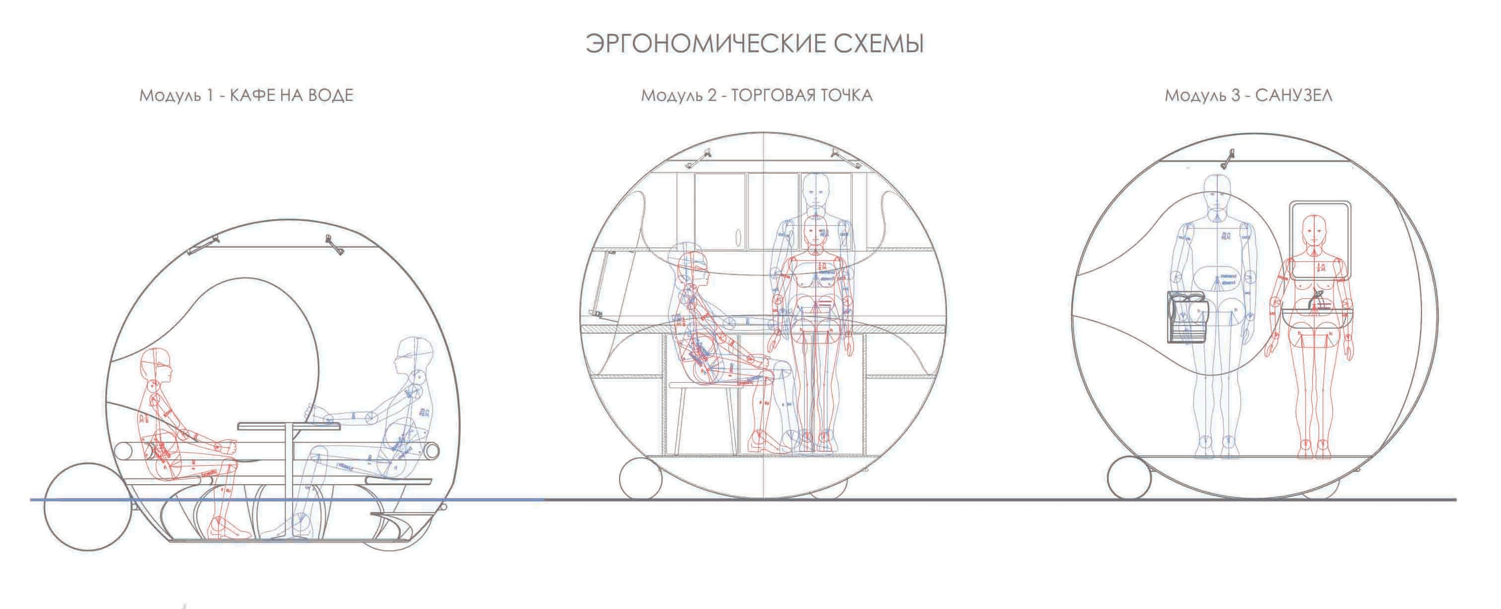 aquatic，cafe，ball，