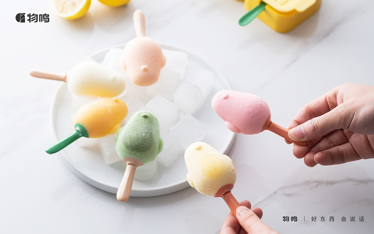 Bird popsicle box，