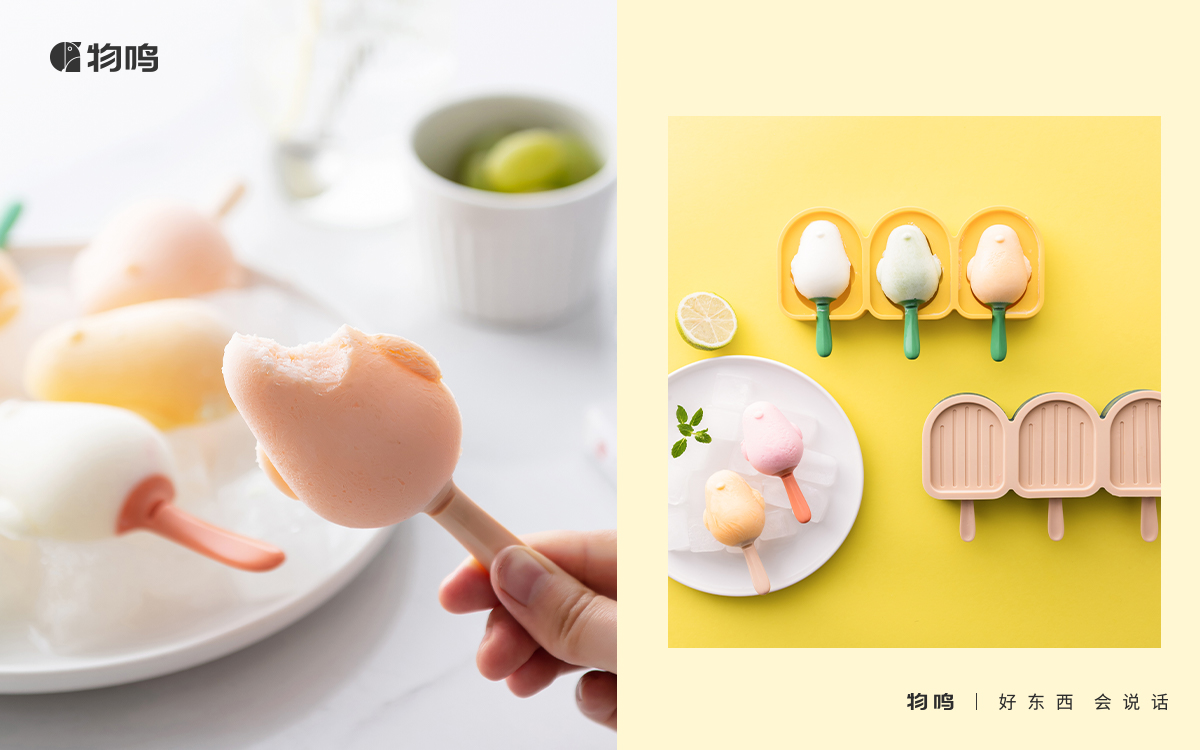 Bird popsicle box，