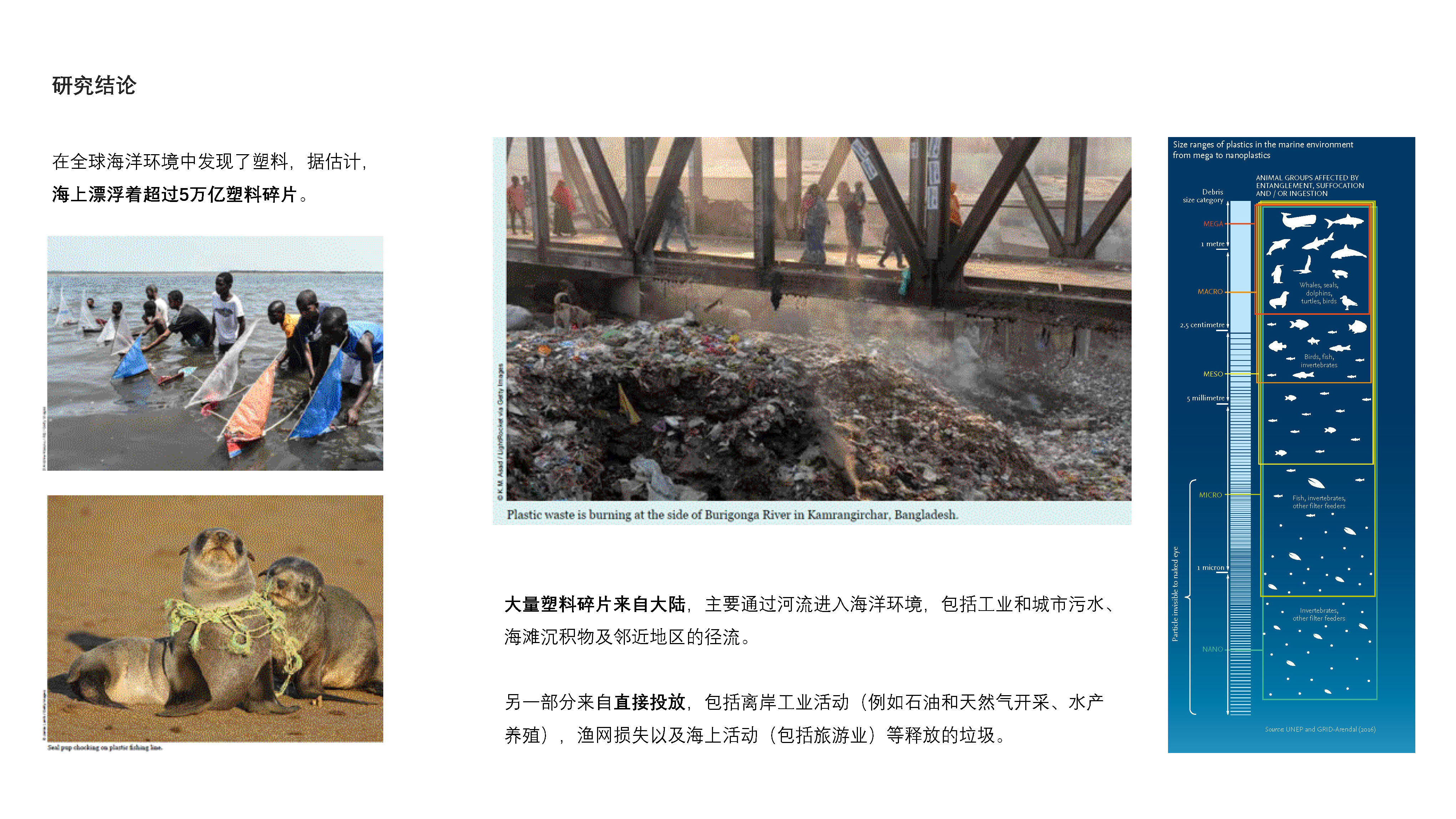 Micro plastic，Information art design，