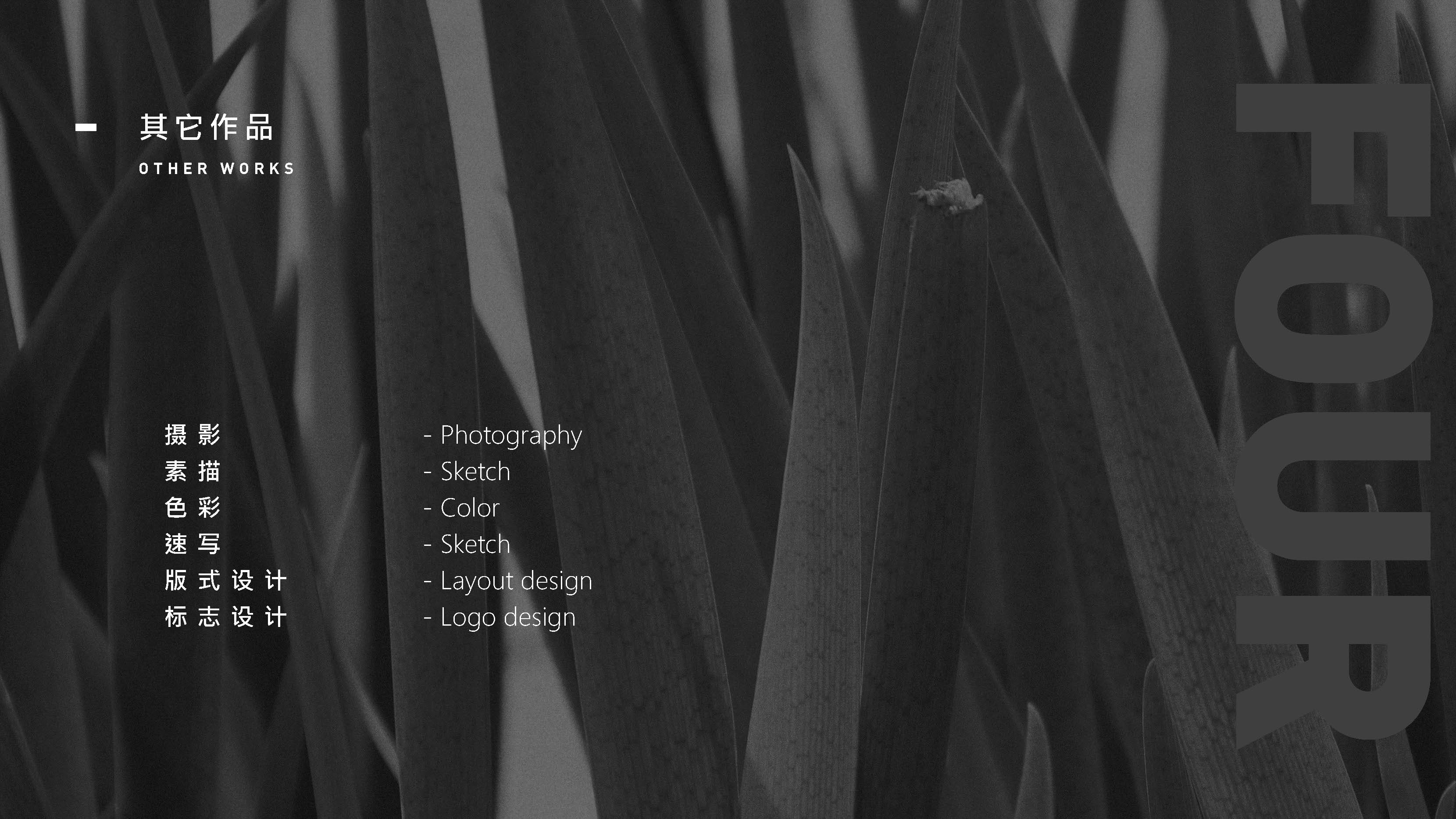 Photography，Sketch，color，Sketch，resume，