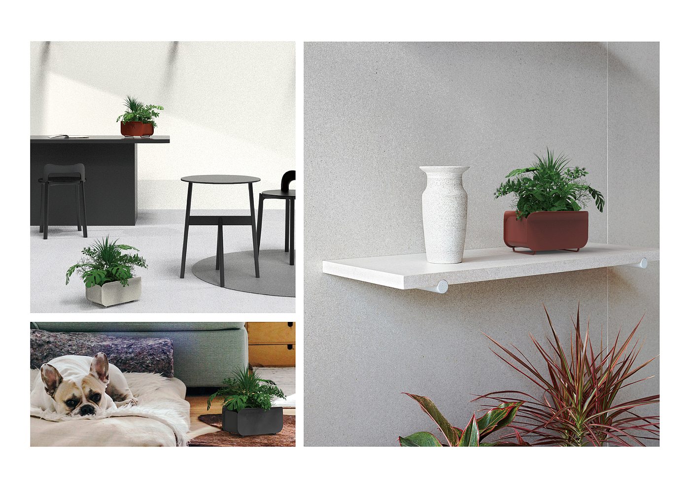 Flowerpot，product design，furniture design ，decorate，Decoration design，Interior design，industrial design，Design，
