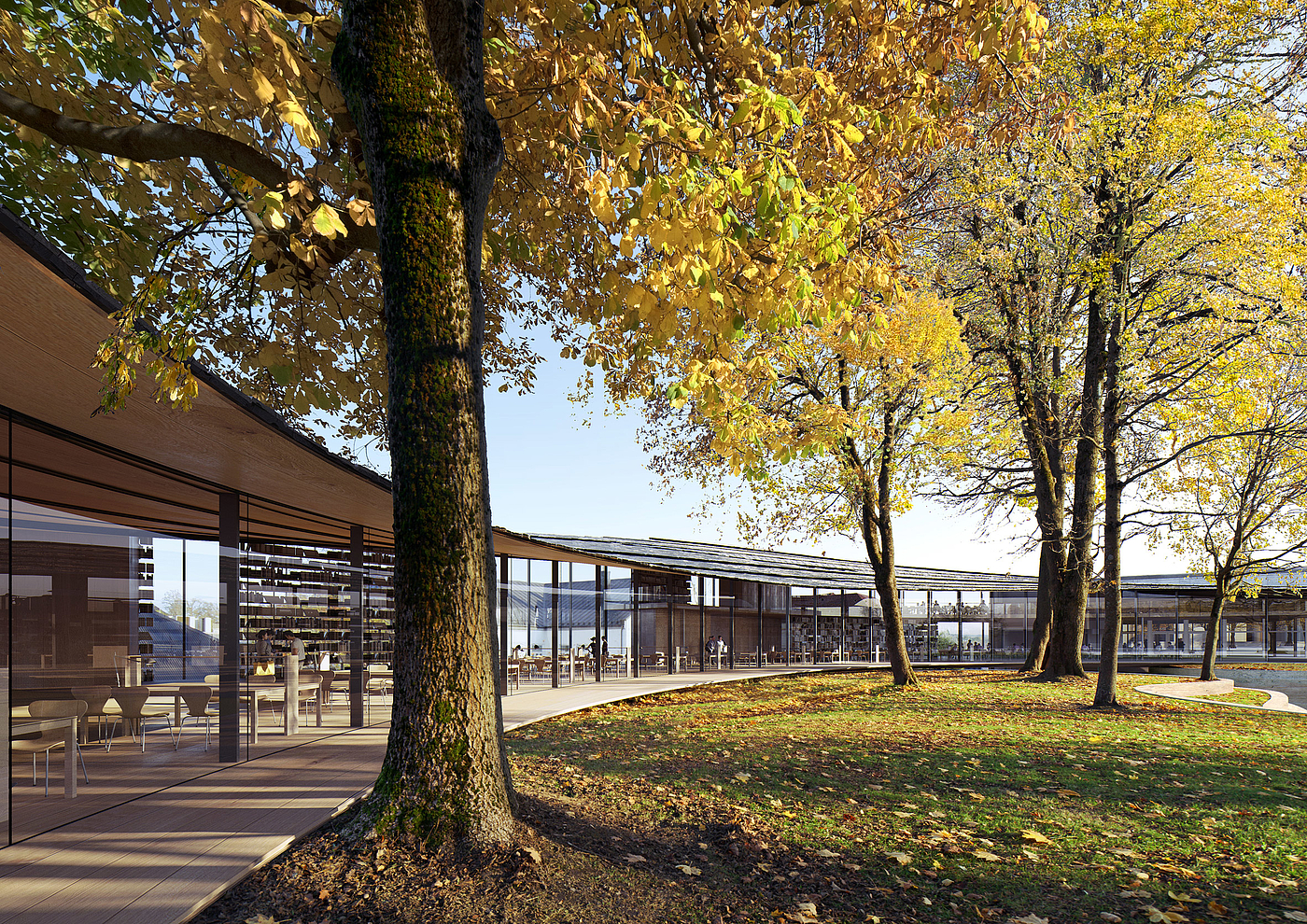 library，Ibsen，Small city park，