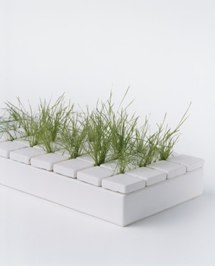 Sato Da，Japan，designer，