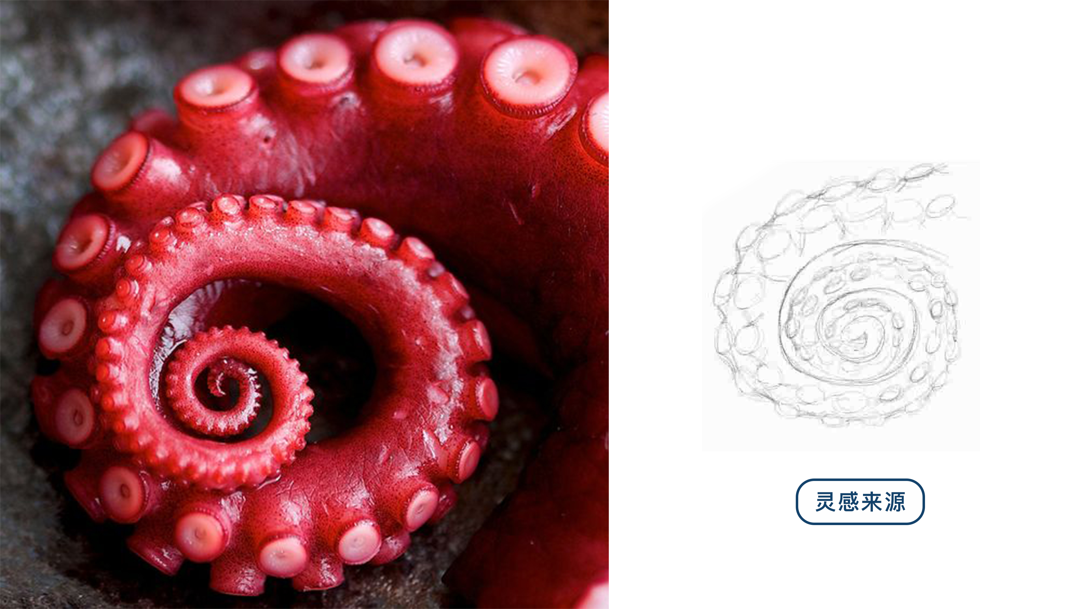 color，Design Competition，