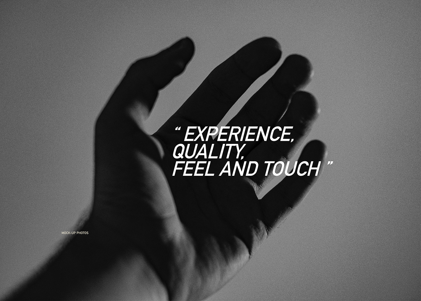 tool，Prospective Lab，Serge Rusak，