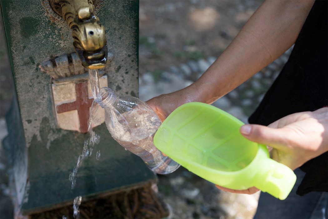 Pets，drink water，outdoors，Plastic，leaf，