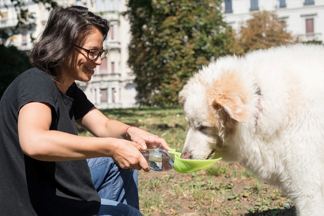 Pets，drink water，outdoors，Plastic，leaf，