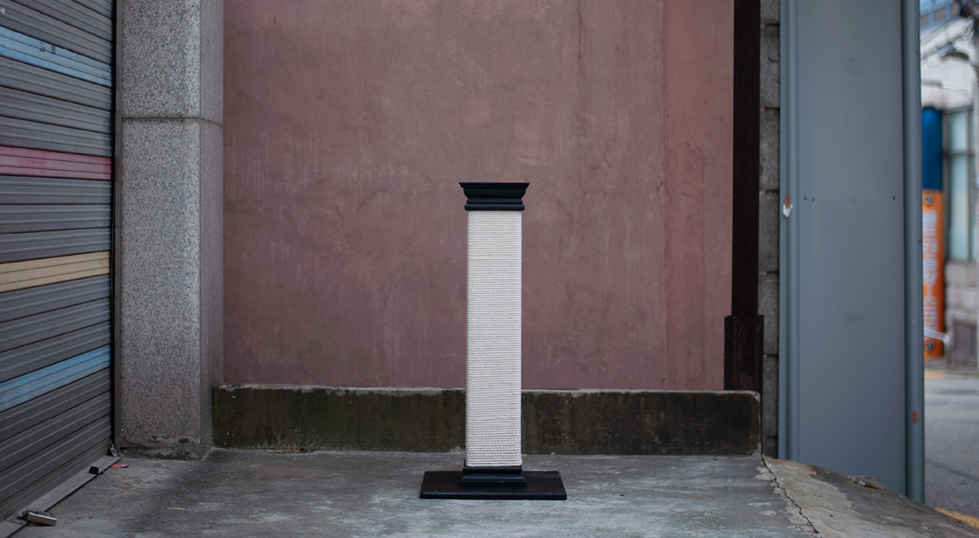 cat，indoor，Cat scratch board，