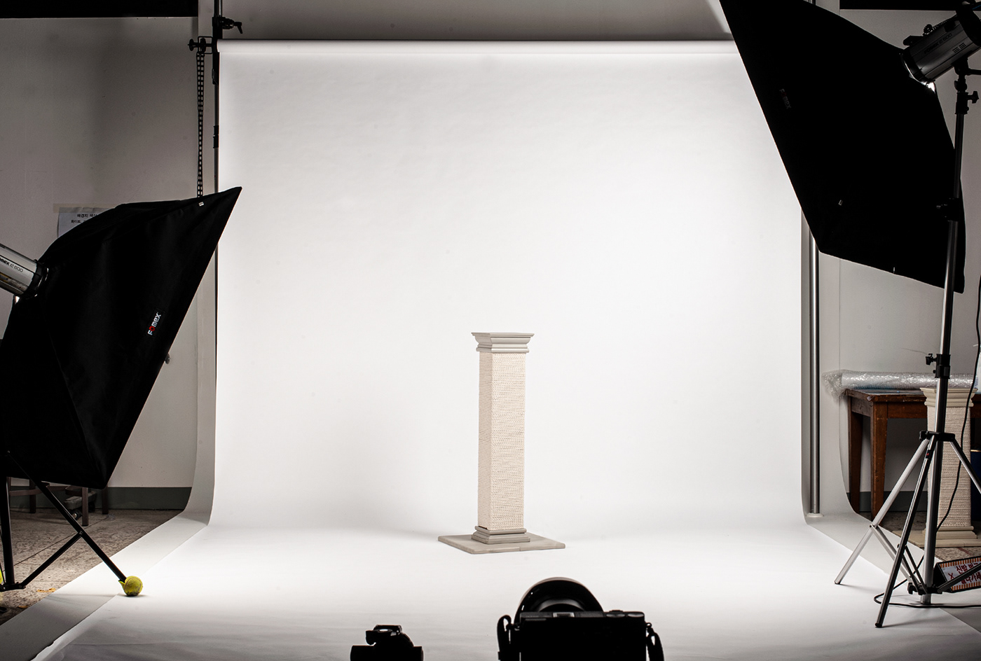 cat，indoor，Cat scratch board，