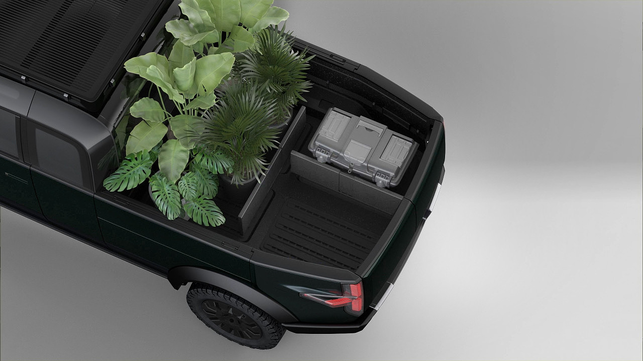 Electric vehicle，Pickup truck，Japan，