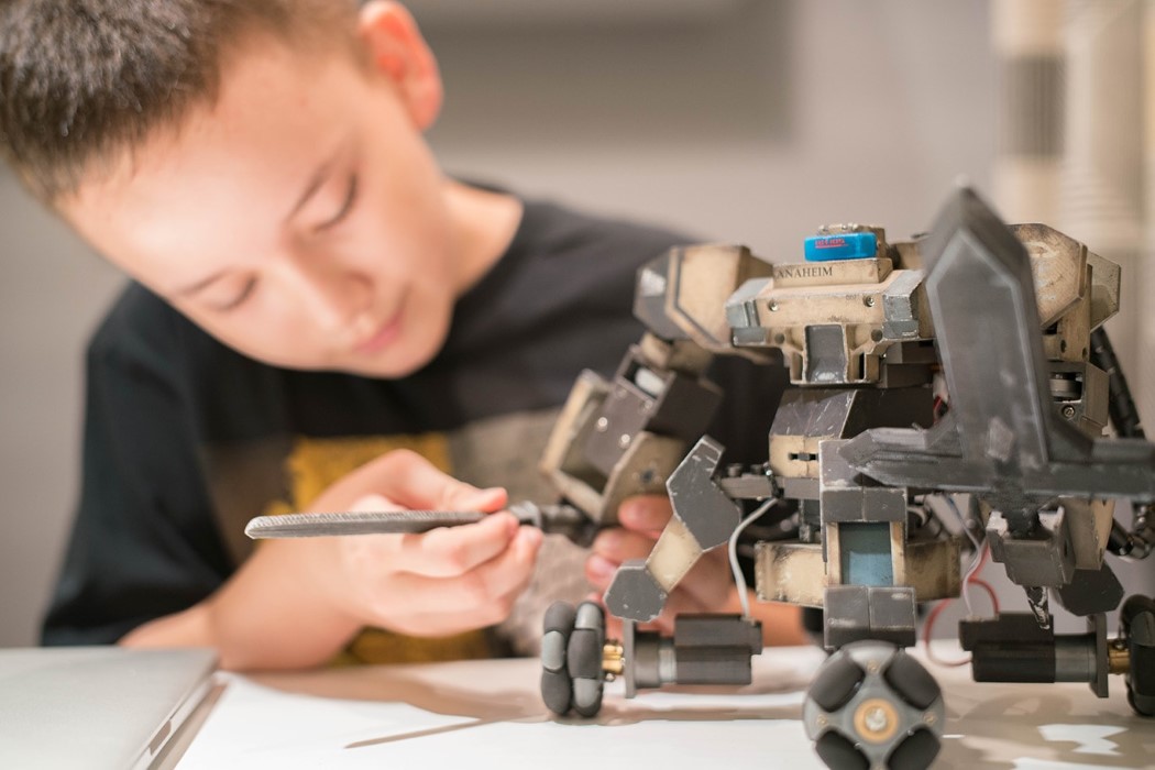 Manipulation，entity，combat，robot，