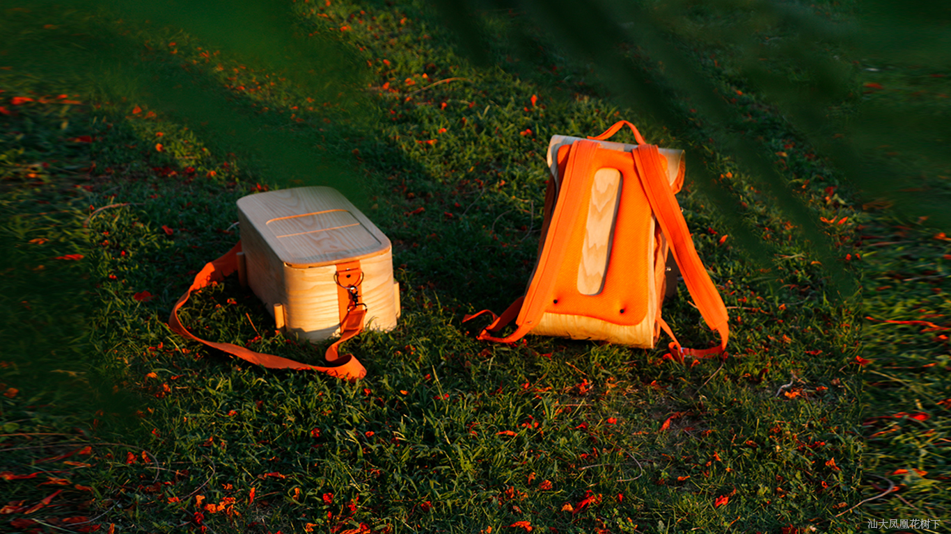 Outdoor, picnic, tea set, storage，