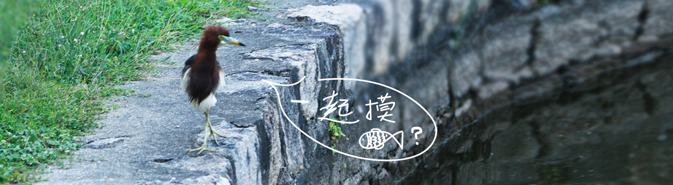 Outdoor, picnic, tea set, storage，