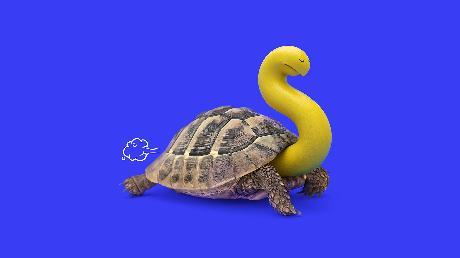 Interesting，deformation，