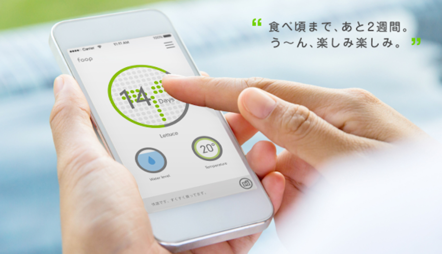 intelligence，Home garden，hygiene，