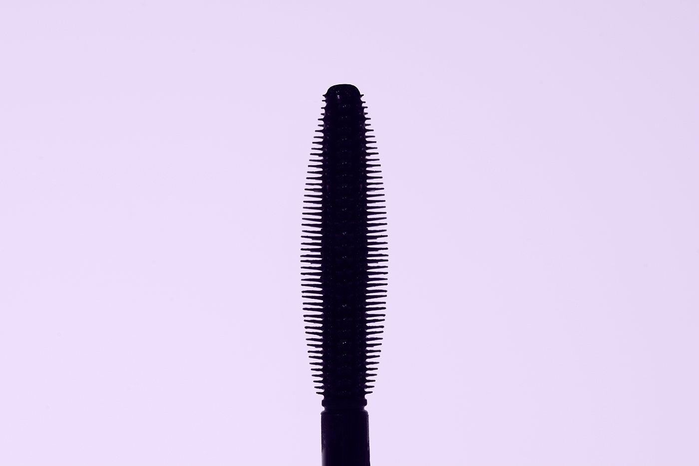 Language，Beauty makeup，Mexico，Monterrey，