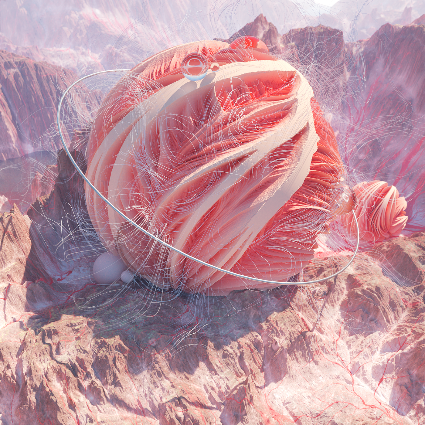 Drawing software，originality，Interesting，