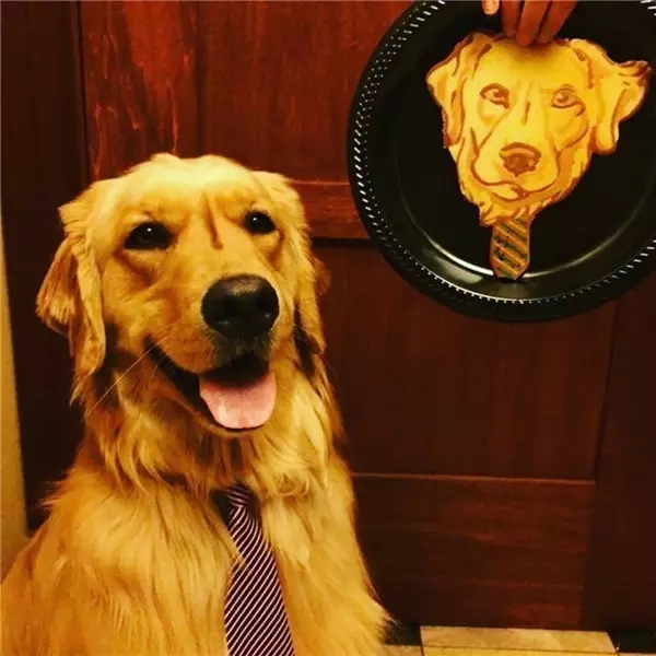 grilled savory crepe，a literary creation，painting，Art，