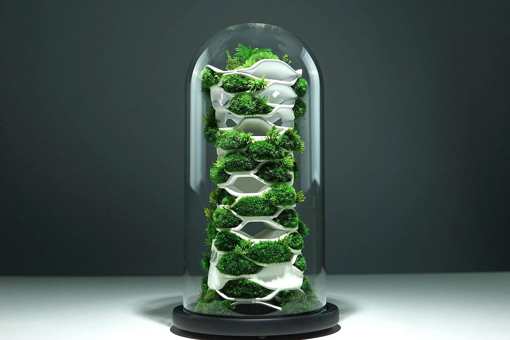 微生物群，植被玻璃容器，Chloroplast 2.0，