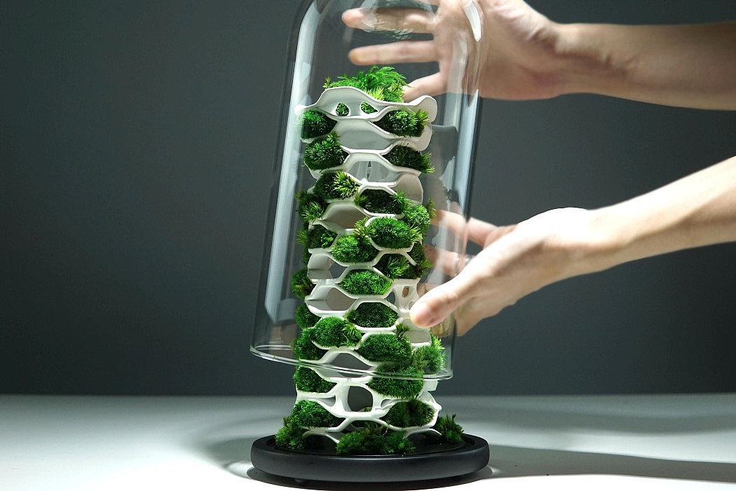 微生物群，植被玻璃容器，Chloroplast 2.0，