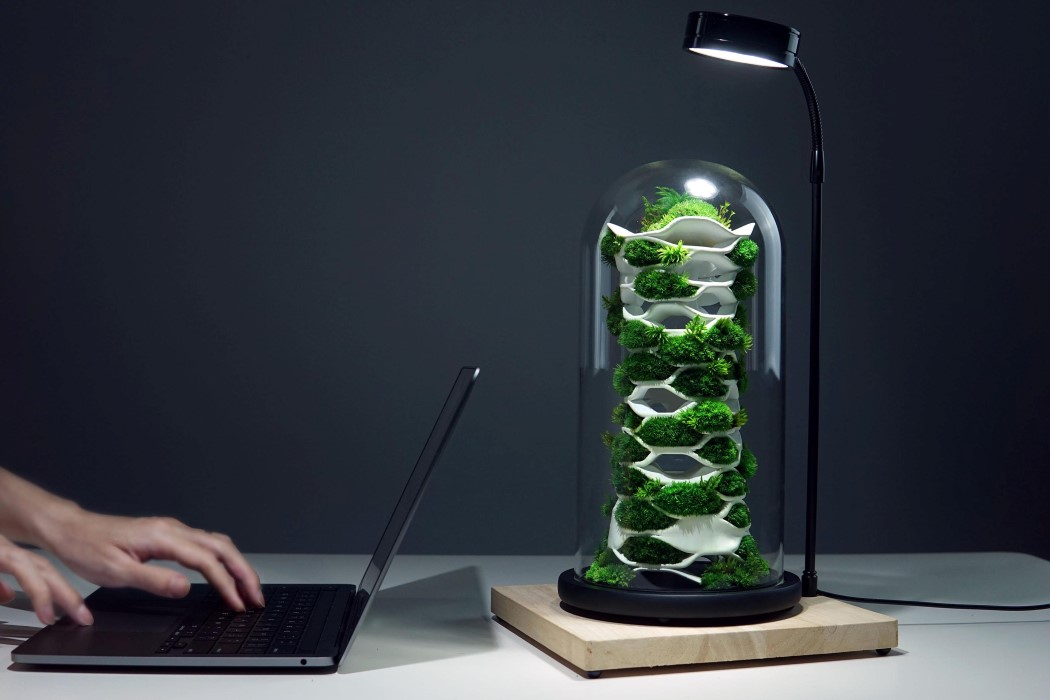 Microbiota，Vegetation glass container，Chloroplast 2.0，