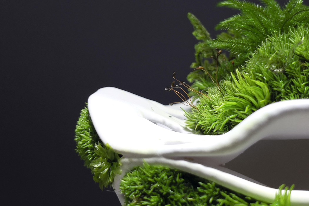 Microbiota，Vegetation glass container，Chloroplast 2.0，