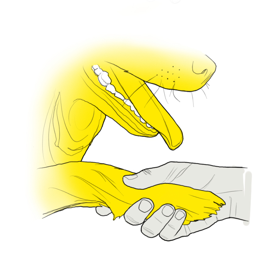 Hand drawn，reasoning，action，ps，