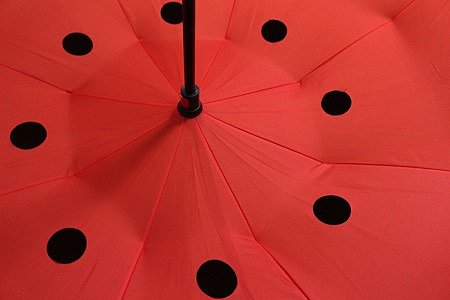 Umbrella，innovate，