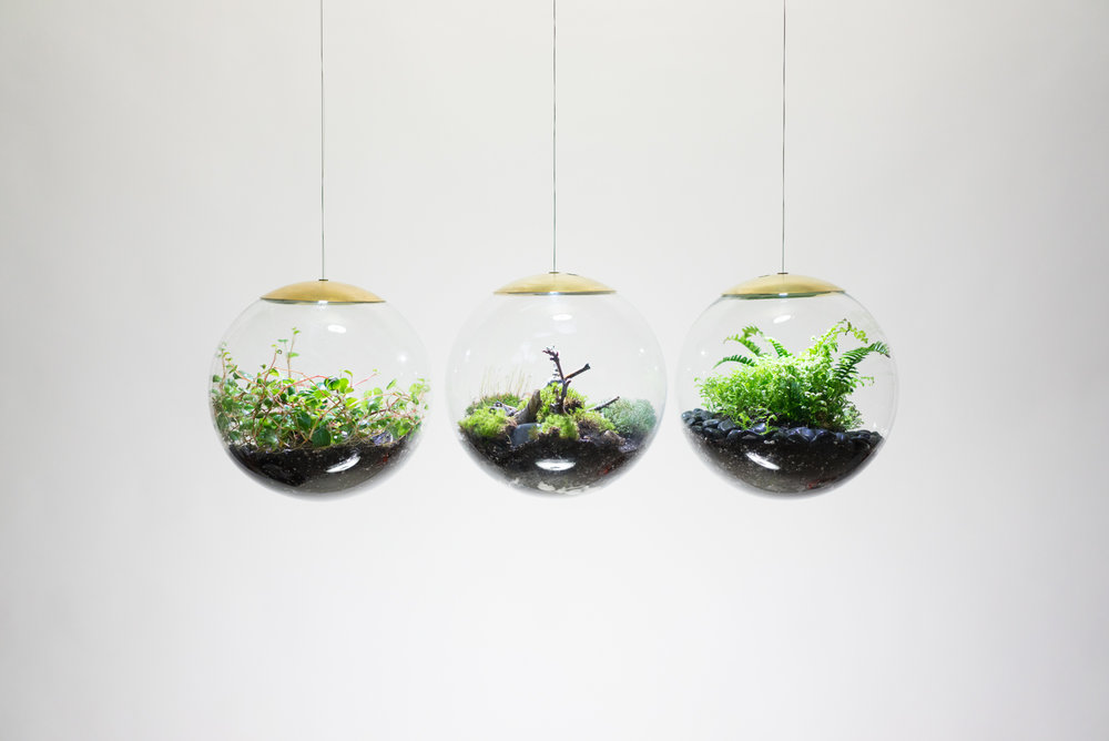 Creative lamp，Ecological lamp，lamp，