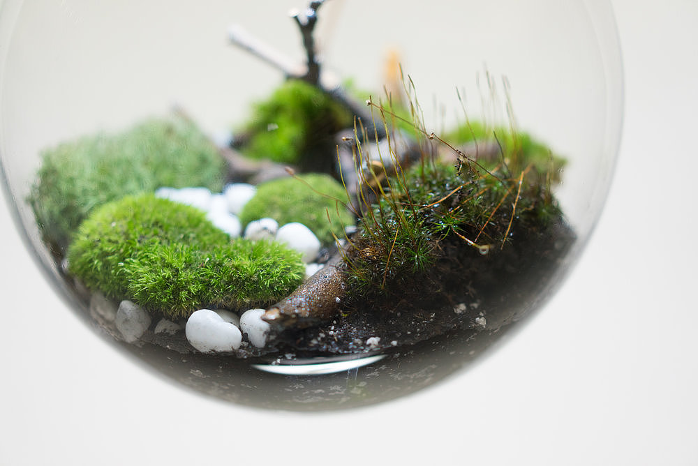 Creative lamp，Ecological lamp，lamp，