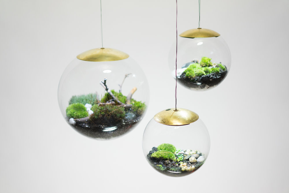Creative lamp，Ecological lamp，lamp，