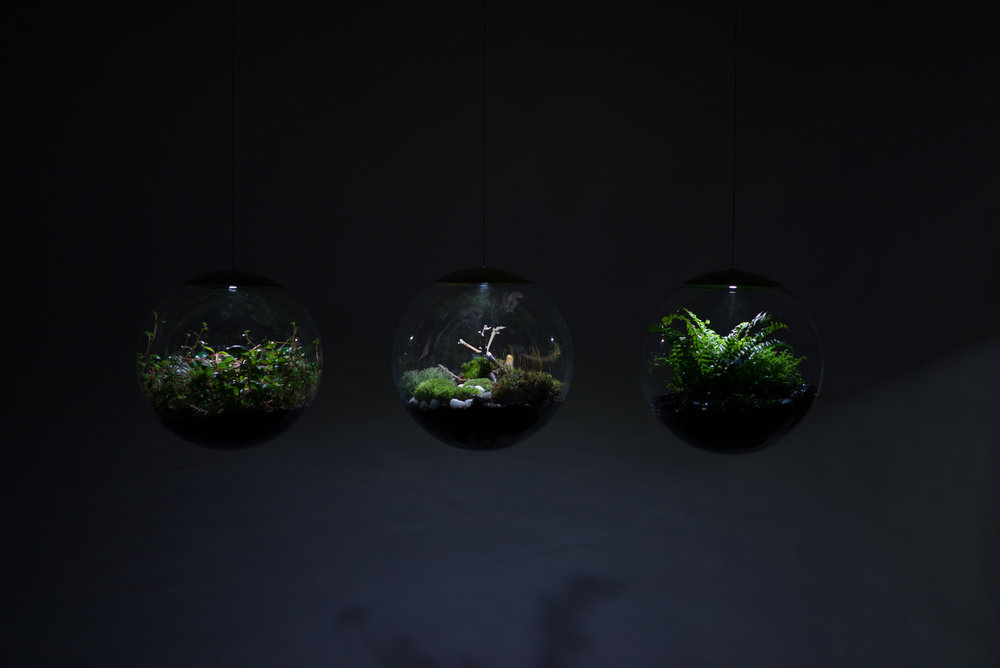 Creative lamp，Ecological lamp，lamp，