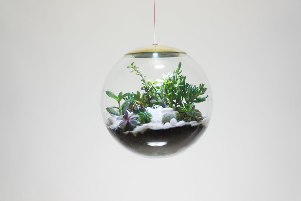 Creative lamp，Ecological lamp，lamp，