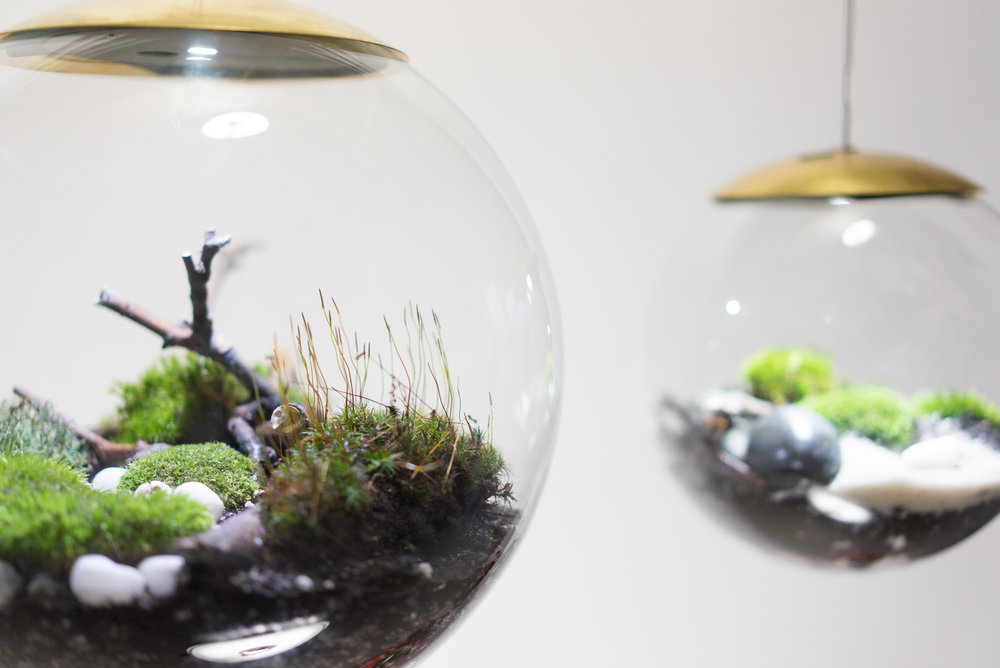 Creative lamp，Ecological lamp，lamp，