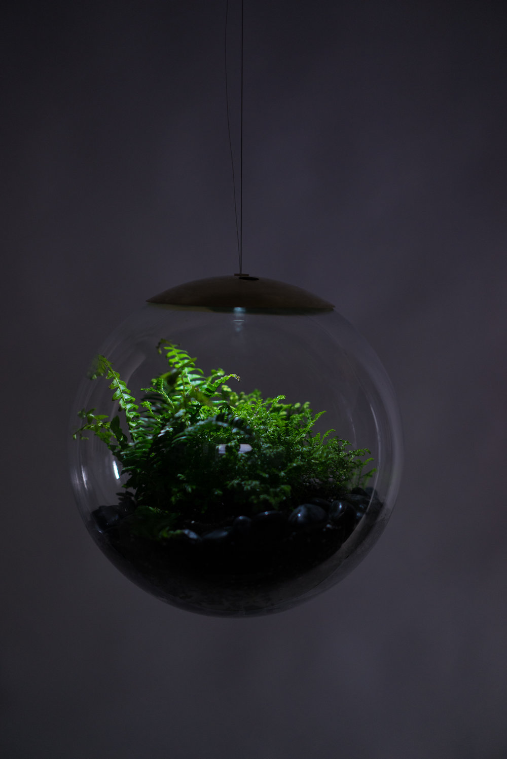 Creative lamp，Ecological lamp，lamp，
