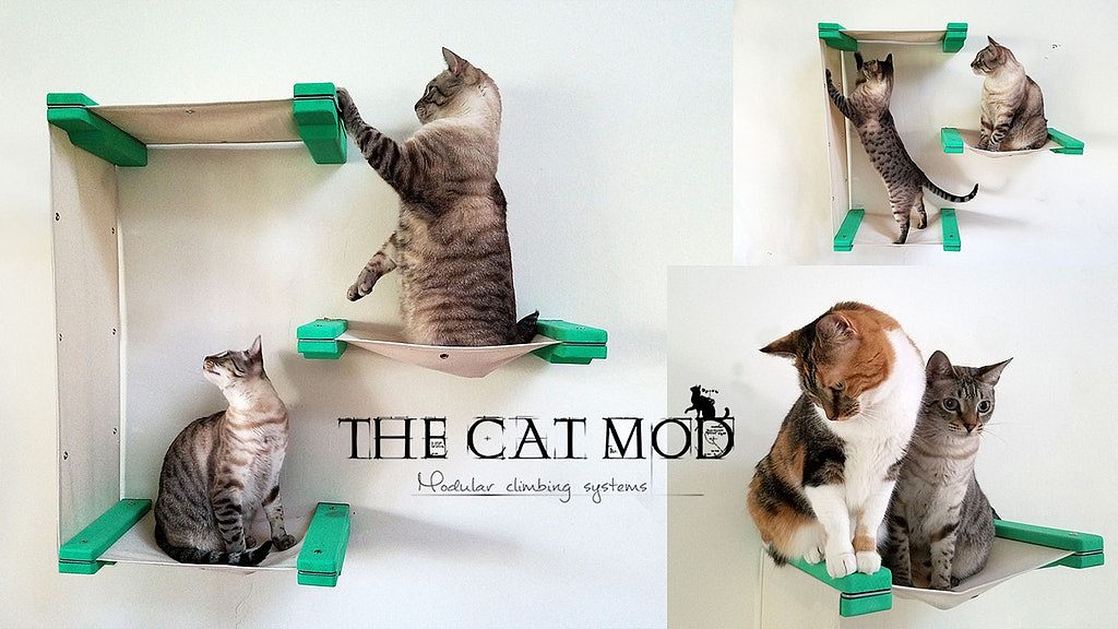 diy，Pets，cat，